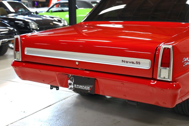 AM8A8949.JPG