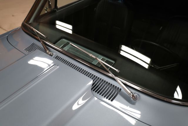 AM8A2785.JPG