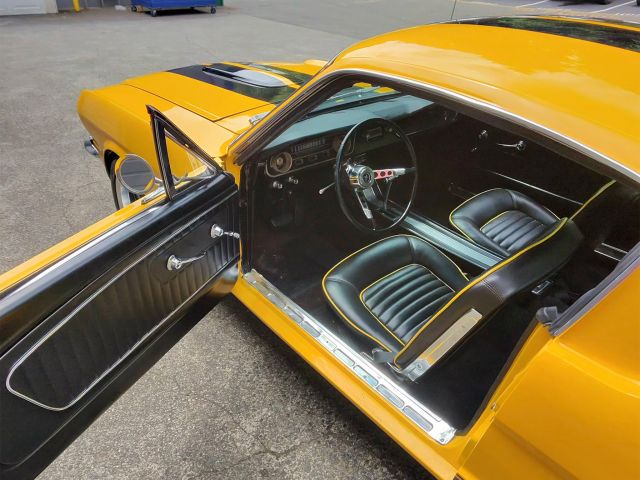 65_photo-15492_singular_display_fullPicture.jpg