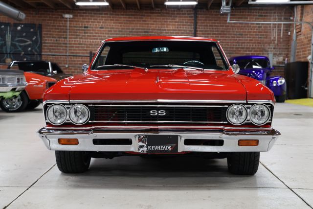 AM8A9179.JPG