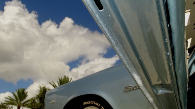 T47.JPG
