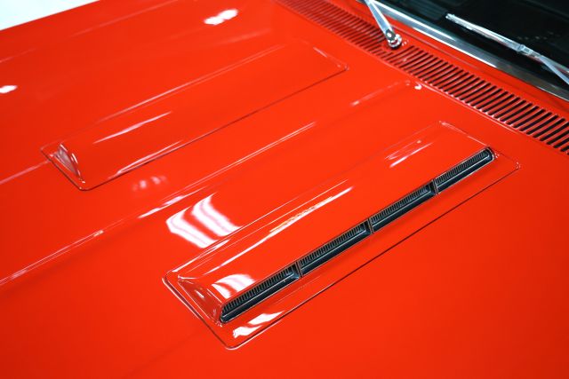 AM8A9233.JPG