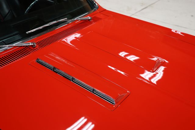 AM8A9185.JPG