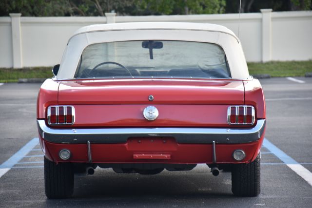 DSC_0054.jpg