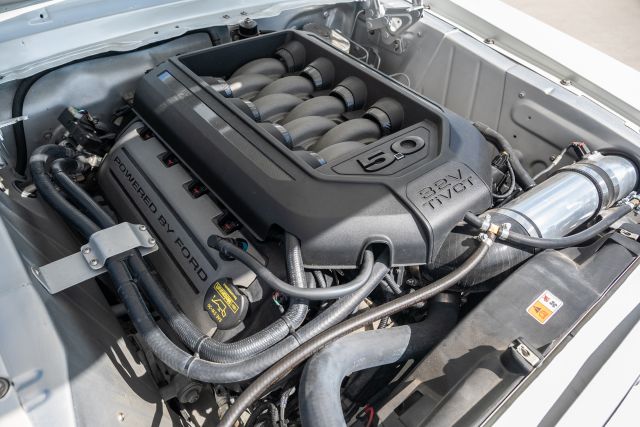 081 - Ford Mustang_20260328.jpg