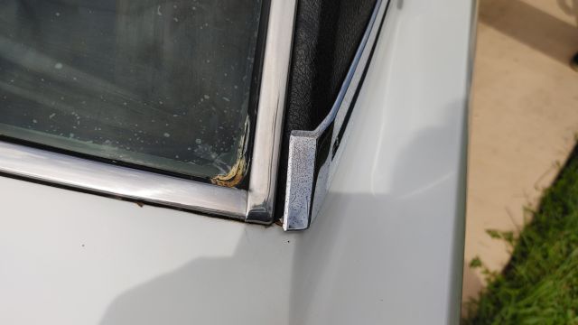 20210923_150521.jpg