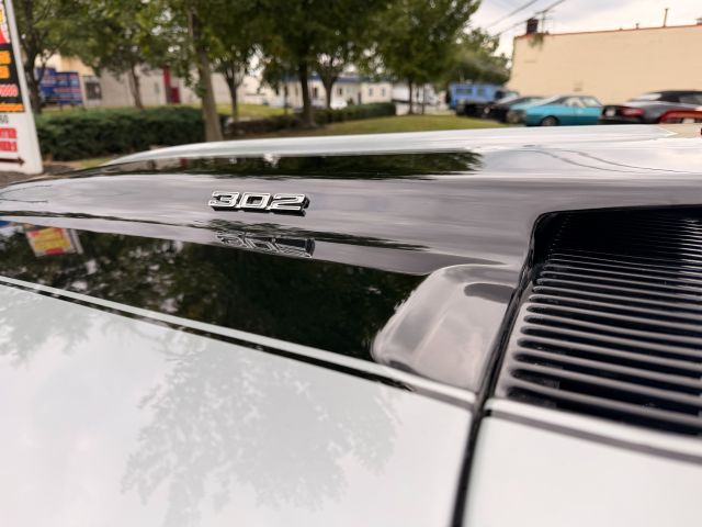 IMG_1176.jpg