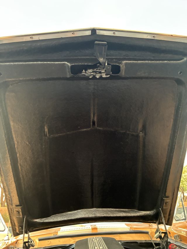 UnderHood.JPG
