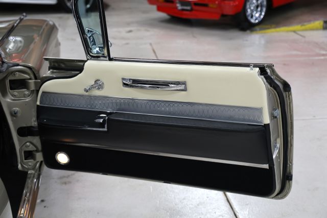 AM8A8835.JPG