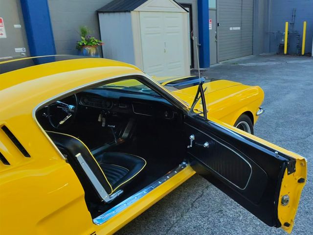 10_od_photo-9178_singular_display_fullPicture.jpg