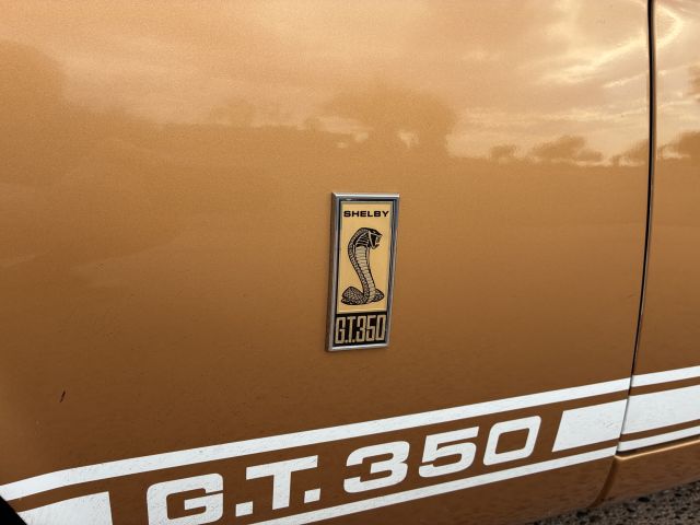 GT350FenderEmblem.JPG