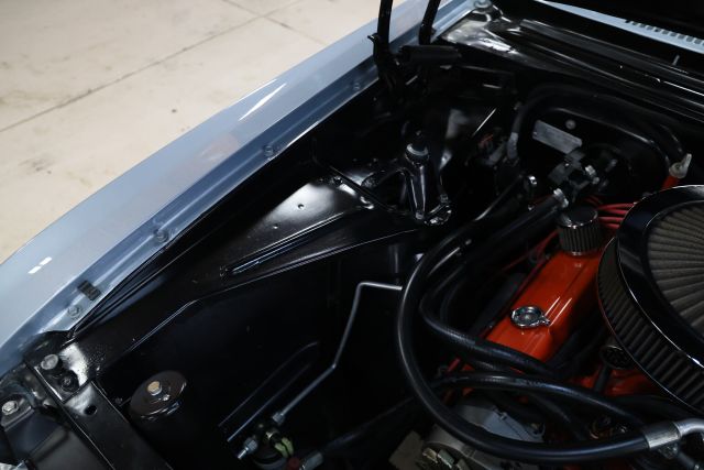 AM8A2988.JPG