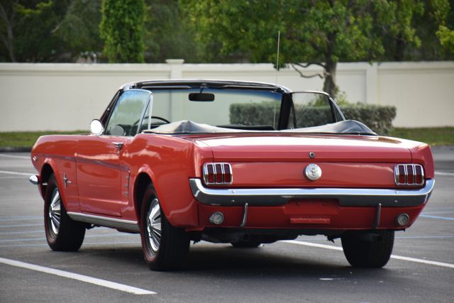 DSC_0144.jpg