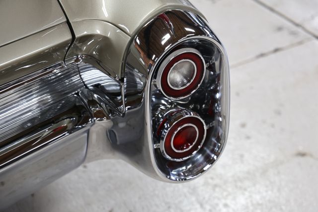 AM8A8752.JPG