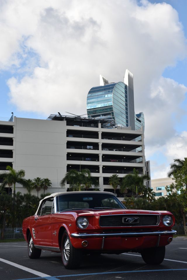 DSC_0008.jpg