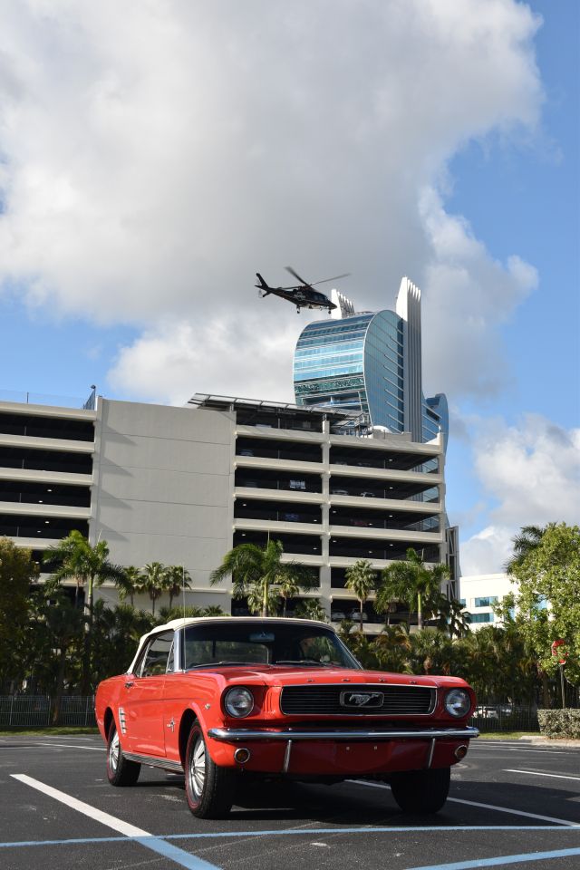 DSC_0020.jpg