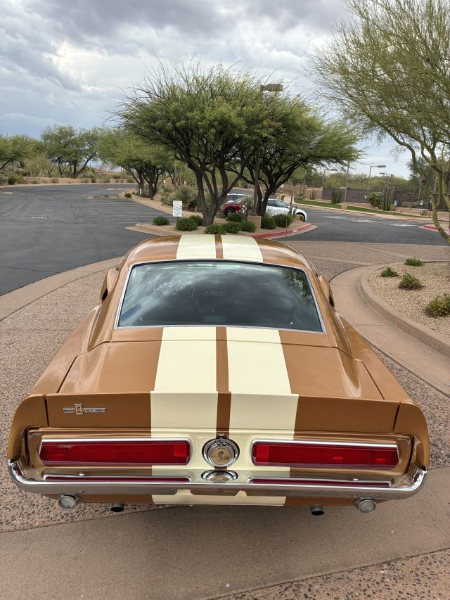 Rear2.JPG