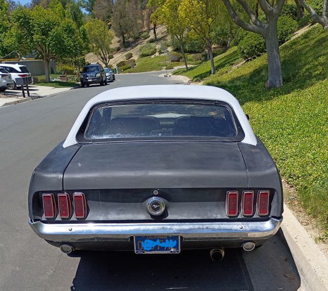 Rear.jpg