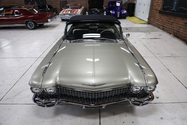 AM8A8714.JPG