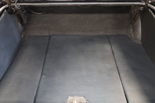 AM8A2968.JPG