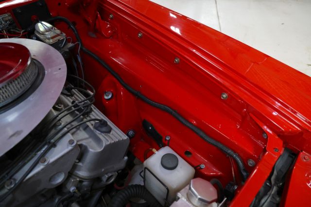 AM8A3559.JPG
