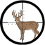 Big Game Hunter